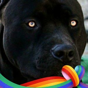 Meet your Posher, Jeanette